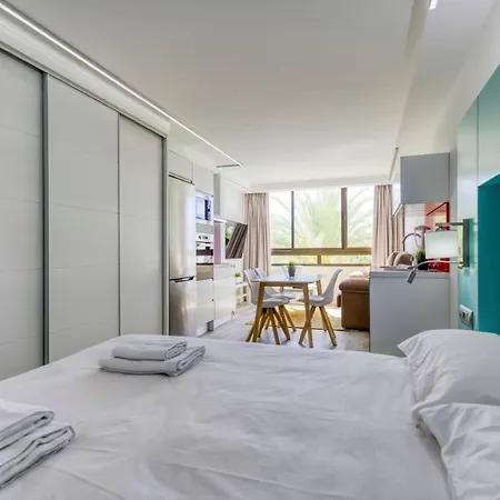 Sancarli Apartamento マスパロマス